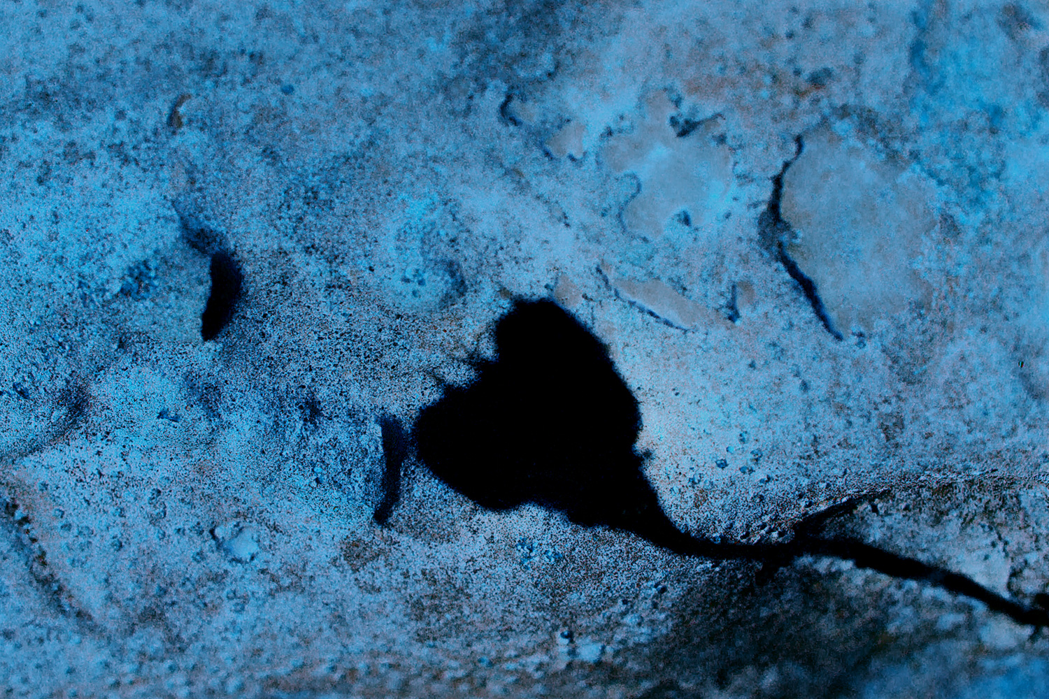 צללית קיץ על סלע בכחול
