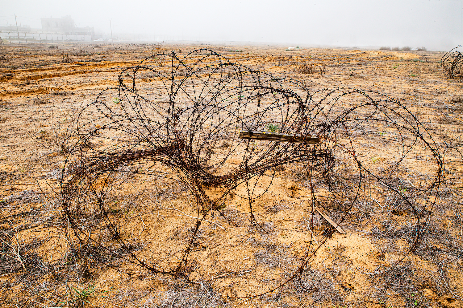 קונצרטינה 2025, לאחר שנה שחונה במיוחד קונצרטינה 2025, לאחר שנה שחונה במיוחד